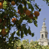 Seville: the fashionable capital of Andalusia for your events