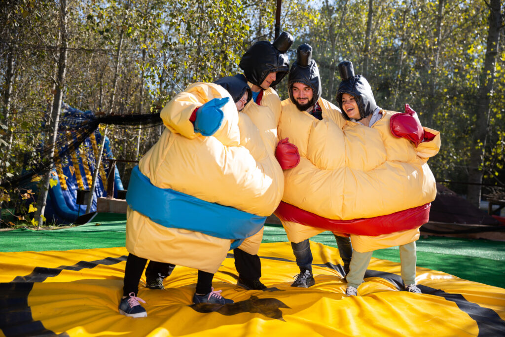 Team building sumo